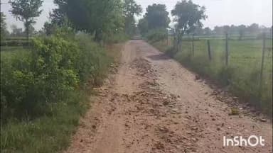 मांट: बदहाल सड़क से ग्रामीण परेशान, सीसागढ़ी से जरारा तक 3 किलोमीटर मार्ग बना हुआ है मुसीबत#जन समस्या