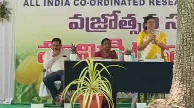 సంగారెడ్డి: సంగారెడ్డి జిల్లాలో మామిడి రైతులకు సాగుపై అవగాహన కల్పించాలి: హార్టికల్చర్ డైరెక్టర్ యాస్మిన్ భాష