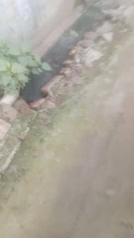 #Barabank Lakhpada Bagh neem churaha