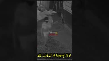 महेन्द्रगढ़ शहर की गलियों में दिखाई दिये संदिग्ध अपराधी गुट #indianews16 #mahendergarh #news