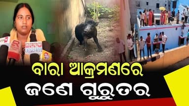 #ହଠାତ୍_ମାଡି_ଆସିଲା_ବାରାହ
#ବାରାହ_ଆକ୍ରମଣରେ_କାଣ୍ତସର_ଗ୍ରାମର_ଜଣେ_ଗୁରୁତର
ଅନୁଗୋଳ ଜିଲ୍ଲା ବଅଁରପାଳ ବ୍ଲକର କାଣ୍ଡଶର ଗ୍ରାମରେ ଆଜି ସକାଳେ...