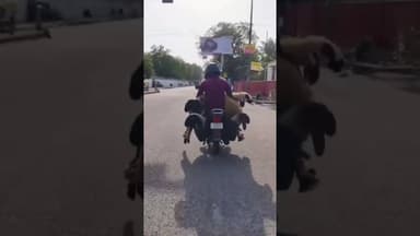 गर्मी में स्कूटी पर बकरियों को ठूंसकर ले जाने का वीडियो वायरल पशु क्रूरता पर उठे सवाल।