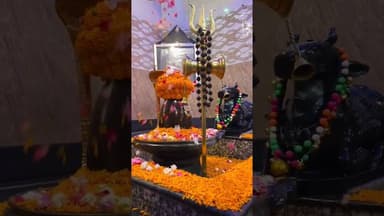 भोले तेरा नाम जपो #mahakal #mahadev #bholenath #bihar #deoghar