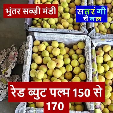"भुंतर और टकोली सब्जी मंडी अपडेट्स"
18 मई 2026 को भुंतर सब्जी मंडी में सब्ज़ियां और फल क्या भाव बिके | देखें वीडियो
#bhu...