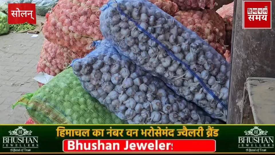 लहसुन के रेट में तेजी की उम्मीद ,जानिए कि भाव बिक रहा है
हिमाचल समय - Himachal Samay Media #mcelwction #paewanooelection...