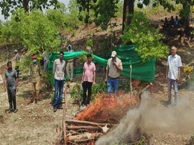 
तेन्दुआ की मृत्यु पश्चात किया गया शवदाह