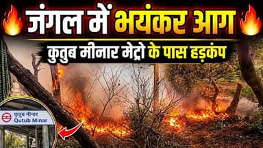 Qutub Minar मेट्रो स्टेशन के पास जंगल में लगी आग,कई हारे पेड़ जलकर हुए खाक l Fire News l Live News