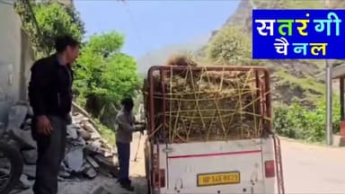 गौ रक्षा दल लगातार निभा रहा मानवता का फर्ज — शेरा नेगी
#GauRakshaDal #GauSeva #CowProtection #SheraNegi #SevaHiDharam #G...