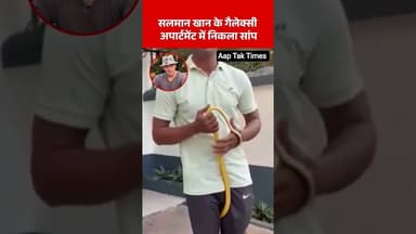 Salman Khan के Galaxy Apartment में निकला सांप 😱 | Security हुई Alert 🔥 #salmankhan