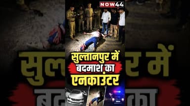 सुल्तानपुर में बदमाश का एनकाउंटर #now44news #ytshorts #breakingnews #up #sultanpur #breaking #now44
