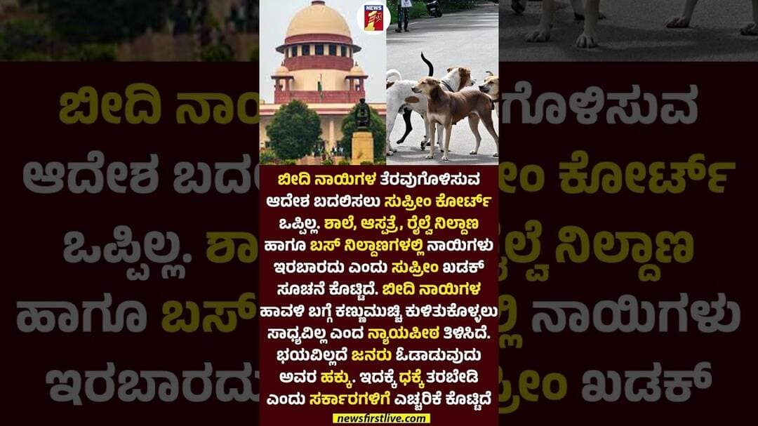 ಬೀದಿ ನಾಯಿಗಳ ತೆರವುಗೊಳಿಸುವ ಆದೇಶ ಬದಲಿಸಲು ಸುಪ್ರೀಂ ಕೋರ್ಟ್ ಒಪ್ಪಿಲ್ಲ #SupremeCourtOrder #StrayDogs
