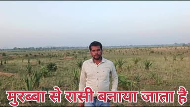 मुरब्बा से रसी बनाए जाते हैं