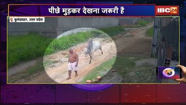 WO WALA VIDEO: सांड ने 90 साल के बुजुर्ग को पीछे से मारी टक्कर | Viral Video | 19 May 2026