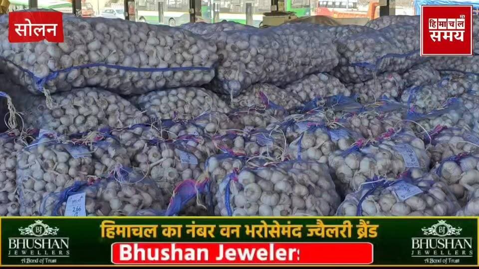 लहसुन के रेट में जबरदस्त तेजी, जानिए क्या रहा 19 मई 2026 को भाव
हिमाचल समय - Himachal Samay Media #paewanooelection #Pa...