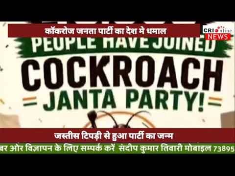 कॉकरोज जनता पार्टी का तहलका #पन्ना #bjp