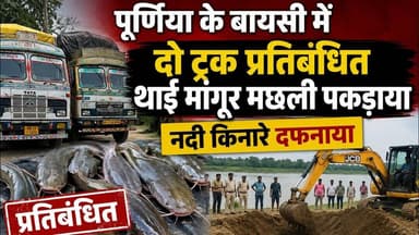 पूर्णिया के बायसी में दो ट्रक प्रतिबंधित थाई मांगूर मछली पकड़ाया #viral #mangur #purnia #foryou #aa