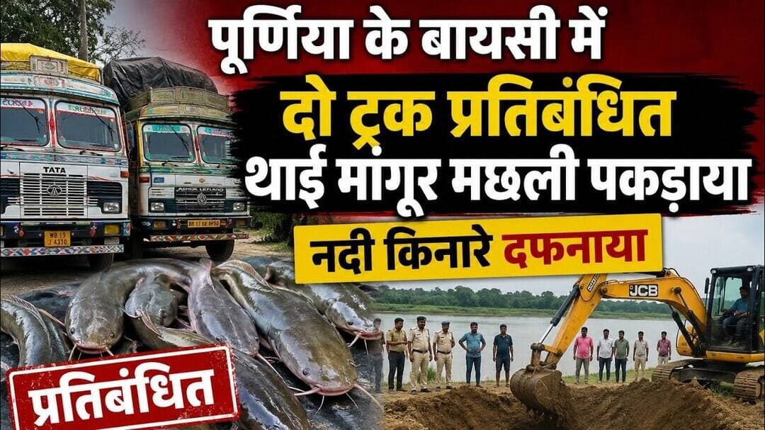 पूर्णिया के बायसी में दो ट्रक प्रतिबंधित थाई मांगूर मछली पकड़ाया #viral #mangur #purnia #foryou #aa