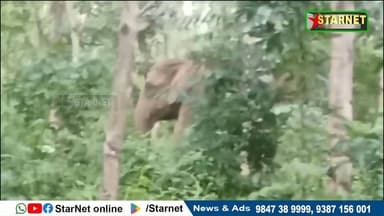 മംഗലാംഡാം കുഞ്ചിയാർ പതിയിൽ വീണ്ടും കാട്ടാന ഇറങ്ങി
വാട്സ്ആപ്പ് ഗ്രൂപ്പില് അംഗമാകുവാന്...👇🏻
https://chat.whatsapp.com/...