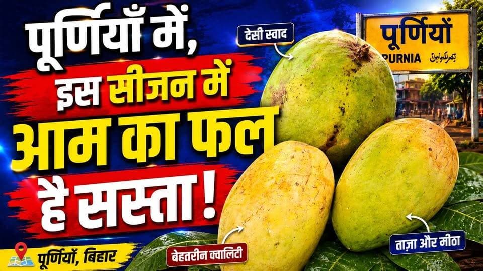 पूर्णिया वालों के लिए बड़ी खुशखबरी! इस सीजन में आम का फल हुआ बेहद सस्ता 🥭 जानिए ताजा बाजार भाव!
#PurniaMangoMarket #Man...