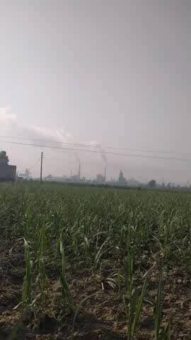 Gram chandpur makhiyali main badta pardushan