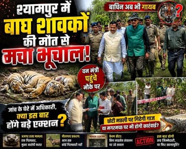 श्यामपुर में बाघ शावको की मौत से भूचाल!बाघीन अब भी गायब, वन मंत्री पहुंचे मौक़े पर बड़े एक्शन की तैयारी.... #ukbharat #har...