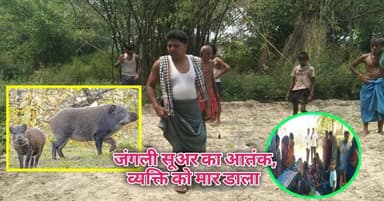 दलसिंहसराय में जंगली सुअर का आतंक:खेत में काम कर रहे वृद्ध को नोच कर मार डाला,गांव में दहशत।
#दलसिंहसराय थाना क्षेत्र क...