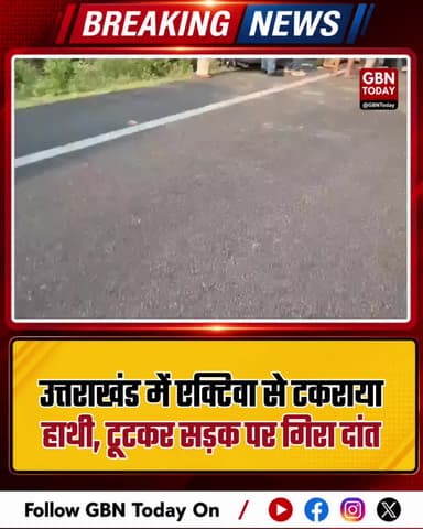 उत्तराखंड: एक्टिवा से टकराया हाथी, टूटकर सड़क पर गिरा दांत।
#UttarakhandAccident #KhatimaNews #WildlifeEncounter #Road