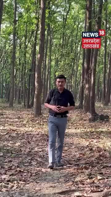 Sarkari Hathi Ko Jungli Hathi Bhaga Le Gaye #viralnews #2026