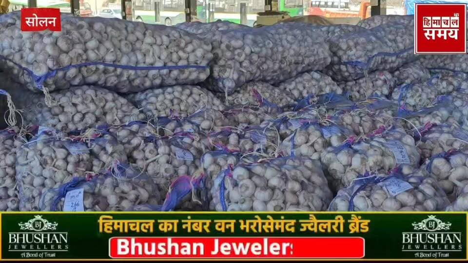 लहसुन का रेट बढ़ने की उम्मीद जानिए क्या रहा 22 में को भाव
हिमाचल समय - Himachal Samay Media #BreakingNewss #himachal