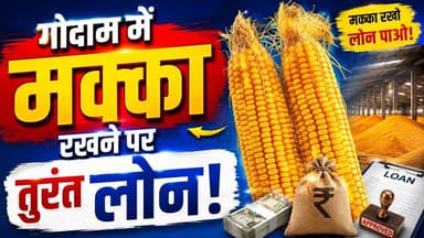 🌽 किसानों के लिए सुनहरा मौका: गोदाम में मक्का रखें और पाएं तुरंत 65% तक लोन! 💰
#MakkaRate #MakkaLoan #KisanNews #Ergos...