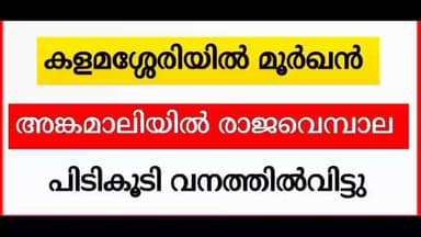 കണയന്നൂർ: ഉഗ്രവിഷമുള്ള മൂർഖൻ പാമ്പിനെ പിടികൂടി