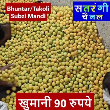"भुंतर और टकोली सब्जी मंडी अपडेट्स"
22 मई 2026 को भुंतर सब्जी मंडी में सब्ज़ियां और फल क्या भाव बिके | देखें वीडियो
#bhu...