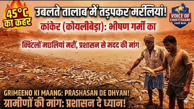 आसमान से बरस रही आग: कोयलीबेड़ा के पंचायत तालाब में गर्मी का कहर, भारी संख्या में जलजीवों की मौत।#कांकेर
#कोयलीबेड़ा
#भीष...