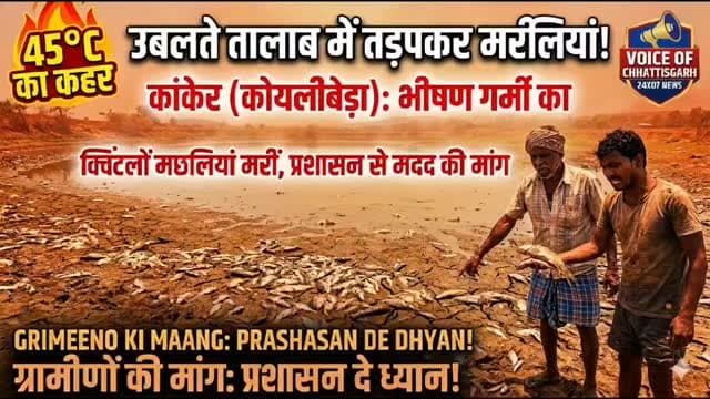 आसमान से बरस रही आग: कोयलीबेड़ा के पंचायत तालाब में गर्मी का कहर, भारी संख्या में जलजीवों की मौत।#कांकेर
#कोयलीबेड़ा
#भीष...