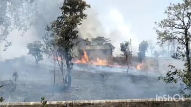 मनेन्द्रगढ़ के कठौतिया तेंदूपत्ता गोदाम में लगी आग पर पाया गया काबू
