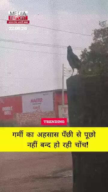 गर्मी का अहसास पँछी से जानो, नहीं बन्द हो रही चोंच! #heatwave