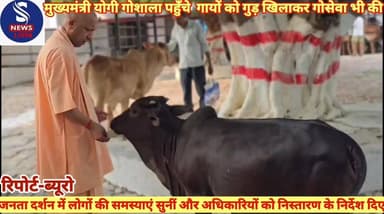 #मुख्यमंत्री योगी आदित्यनाथ ने #गोशाला पहुँचे और गायों को गुड़ #और बिस्कुट खिलाकर गोसेवा भी #की तदुपरांत मुख्यमंत्री जनता...