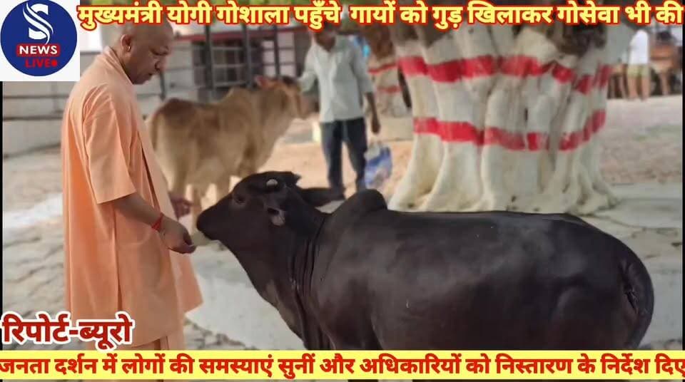 #मुख्यमंत्री योगी आदित्यनाथ ने #गोशाला पहुँचे और गायों को गुड़ #और बिस्कुट खिलाकर गोसेवा भी #की तदुपरांत मुख्यमंत्री जनता...