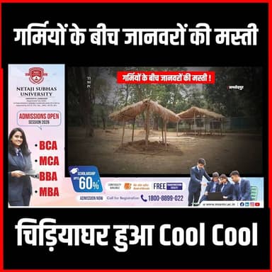 Jamshedpur| तपती गर्मी में Tata Zoological Park पार्क में जानवरों की मस्ती
#thenewspost #jamshedpur #jamshedpurnews #ja...