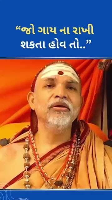 “જો ગાય ના રાખી શકતા હોવ તો..” #tejgujarati #news #youtubeshorts #shortsreels