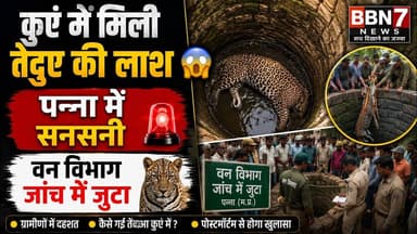 Panna में कुएं से मिली मादा तेंदुए की लाश #breakingnews #pannanews
