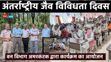 अमरकंटक वन विभाग द्वारा अंतर्राष्ट्रीय जैव विविधता दिवस पर कार्यक्रम । Bsp24news
#anuppur
#amarkantak