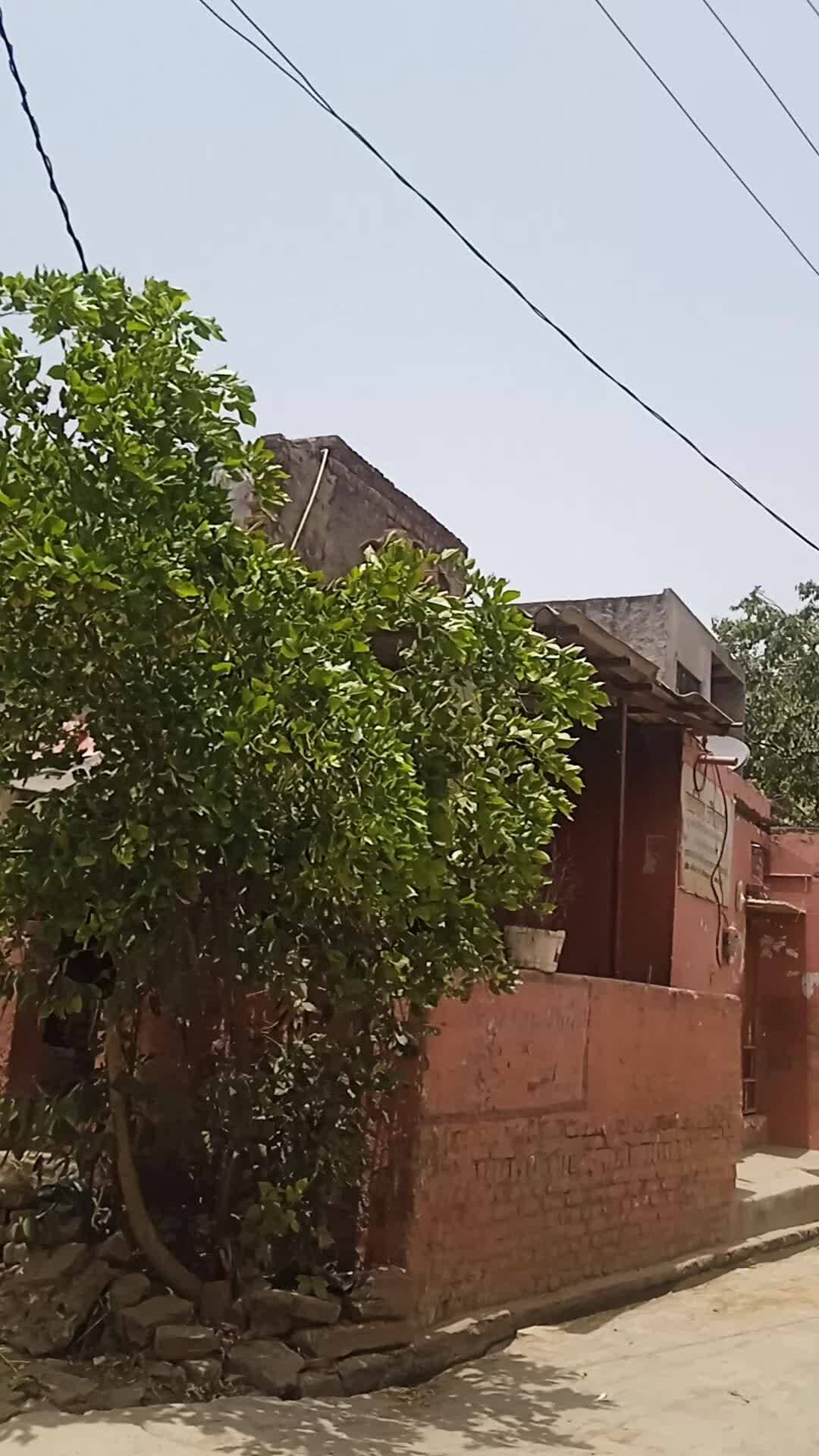 yah bachada Shahpur khurd mein chhat per tahsil sasani
aur usko utarane ka prayas ho raha hai aur Lekin pata nahin yah