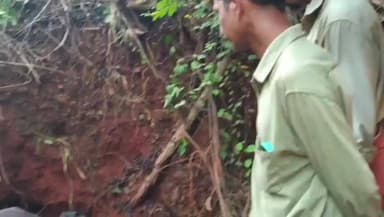 കണ്ണൂർ: ആദികടലായിയിൽ ഒറ്റ പിടുത്തത്തിൽ പിടികൂടിയത് 14 മൂർഖൻ കുഞ്ഞുങ്ങളെ