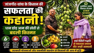 धान छोड़ आम की खेती से बदली किस्मत | जांजगीर-चांपा के किसान की सफलता की कहानी