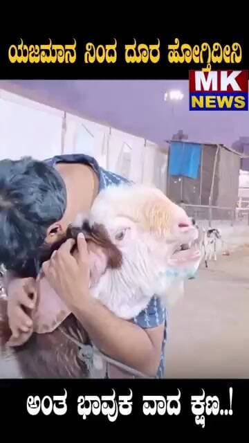 ಯಜಮಾನ ನಿಂದ ದೂರ ಹೋಗ್ತಿದೀನಿ ಅಂತ ಭಾವುಕ ವಾದ ಕ್ಷಣ..!