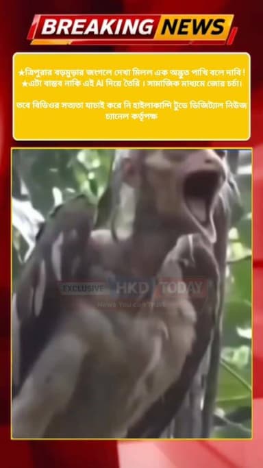 ★ত্রিপুরার বড়মুড়ার জংগলে দেখা মিলল এক অদ্ভুত পাখি বলে দাবি !
★এটা বাস্তব নাকি এই AI দিয়ে তৈরি । সামাজিক মাধ্যমে জোর চ...
