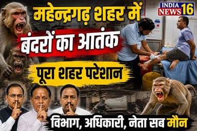 महेन्द्रगढ़ शहर में बंदरों का आतंक #Monkey_attack #mahendergarhnews घर के अंदर घुस कर दिया...