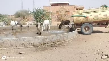 🚨 फतेहगढ़ के भाड़ली गांव में जल संकट गहराया, प्यास से तड़प रहे हजारों बेजुबान पशु 🐄💧
#फतेहगढ़
#भाड़ली_गांव
#जल_संकट
#पश...