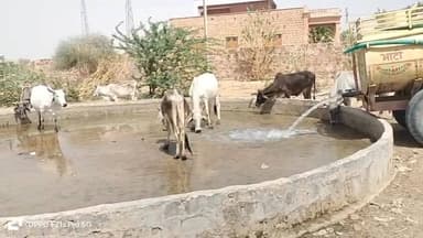 🚨 फतेहगढ़ के भाड़ली गांव में जल संकट गहराया, प्यास से तड़प रहे हजारों बेजुबान पशु 🐄💧
#फतेहगढ़
#भाड़ली_गांव
#जल_संकट
#पश...